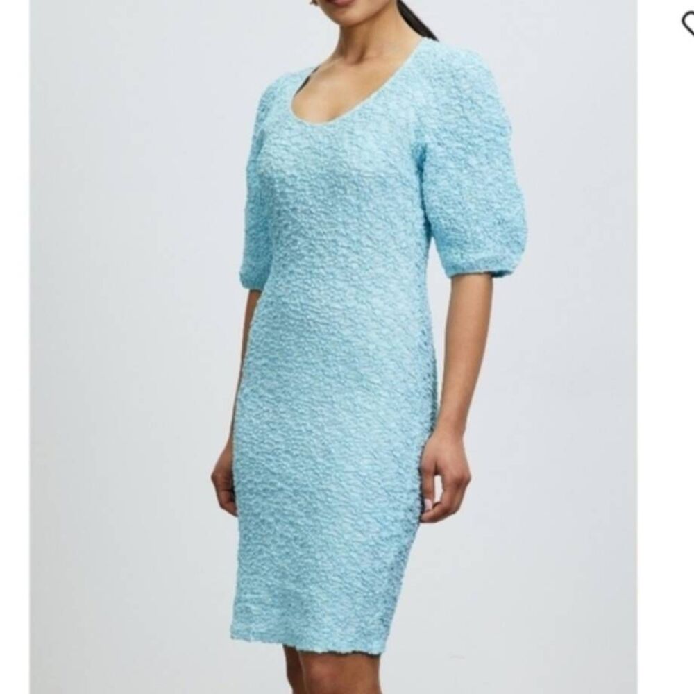 NWOT Samsoe Sophia Mini Bodycon Dress